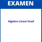 Evaluacion Final Algebra Lineal Unad