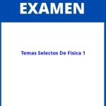 Examen De Temas Selectos De Fisica 1