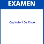 Examen Del Capitulo 1 De Cisco