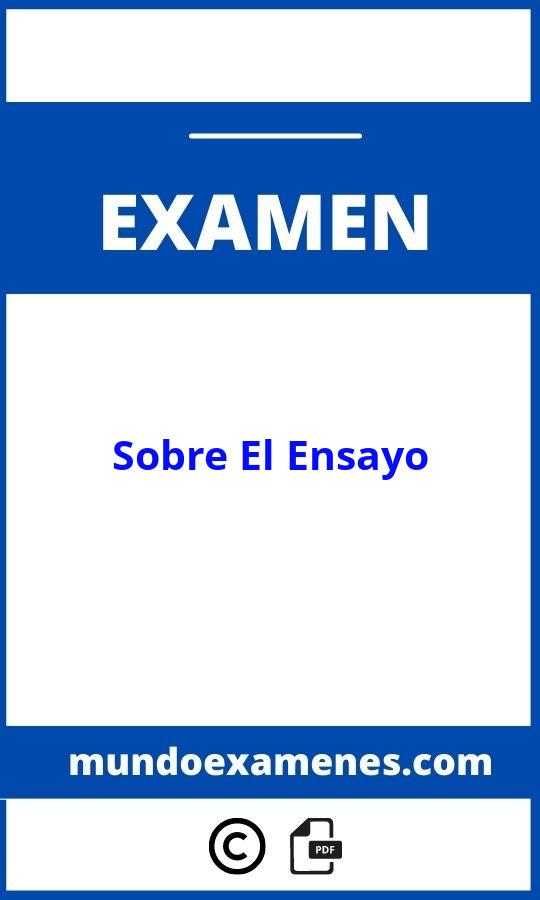 Examen Sobre El Ensayo