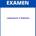 Examenes De Laboratorio Y Gabinete